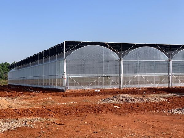 防止連棟薄膜溫室漏水的方法是什么